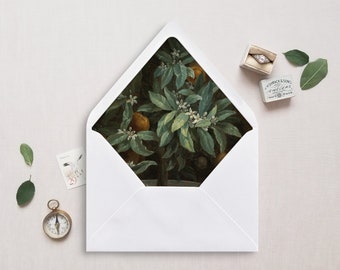 Printable Envelope Liner, A7, Euro Flap, Square Flap, 6.5 Square, A6, 5.75 Square, 4 Bar, for 5x7 Wedding Invitations, Orange Trees