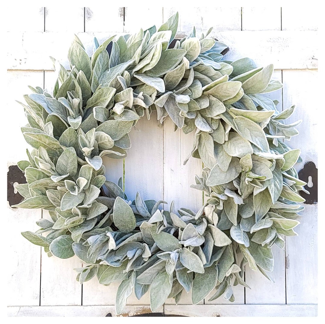 Lambs Ear Wreathlarge Lambs Ear Wreathyear Round Etsy