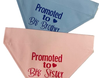 Dog Birthday Bandana *Promoted to Big Brother / Sister * Pale Blue or Pale Pink Pink *  Slips over the Collar * XS, Small, Medium ,Large