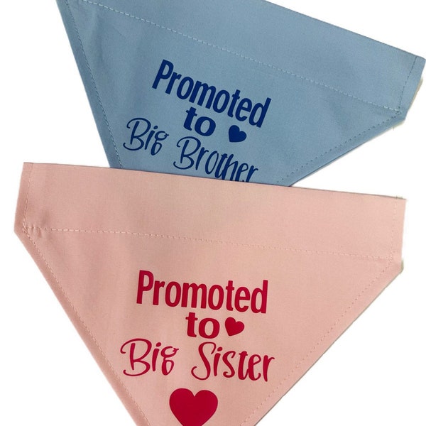 Dog Birthday Bandana *Promoted to Big Brother / Sister * Pale Blue or Pale Pink Pink *  Slips over the Collar * XS, Small, Medium ,Large