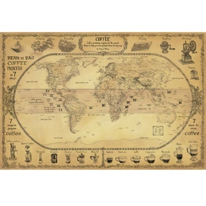CARTE DU MONDE DU CAFÉ - Les amateurs de café adorent cette carte ! Régions productrices de café du monde, processus de l'arbre à la tasse et 7 types de boissons au café