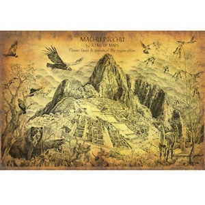 CARTE DU MACHU PICCHU, animaux, fleurs et faune des environs. Des artistes dessinés à la main représentent cette merveille du monde qu'est le Pérou.
