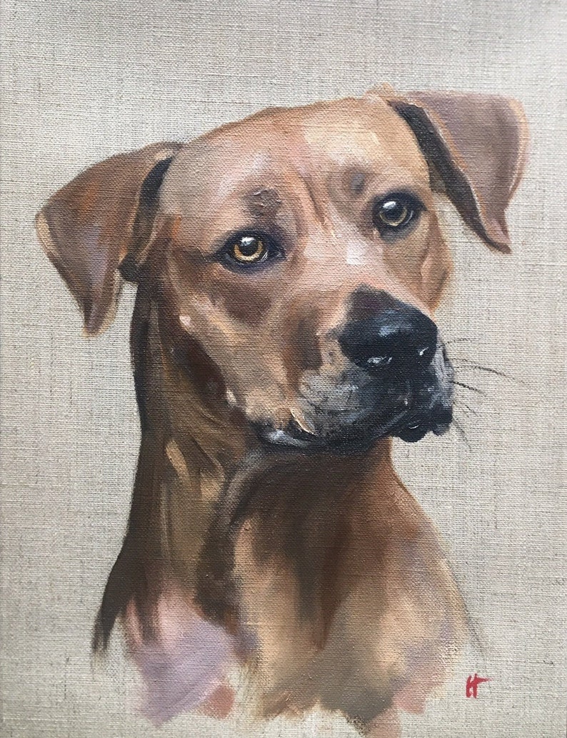 Dog portrait, custom pet portrait, dog portrait, oil pet portrai Dog portrait, custom pet portrait, dog portrait, oil pet portrai