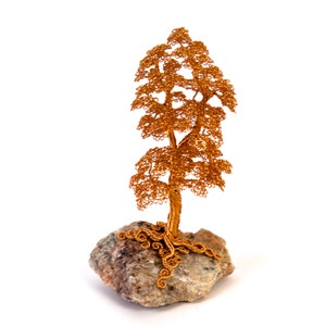 Wire Bonsai Tree Sculpture - Settled
