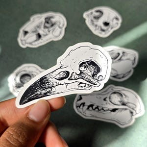 Autocollant en vinyle crâne de corbeau | Autocollants imperméables| Dessin de bizarreries d'animaux | Taxidermie d'oiseau noir corbeau