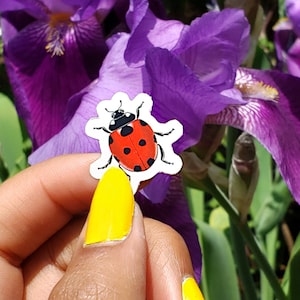 Pack d'autocollants en vinyle Petite coccinelle | Petite punaise coccinelle | Stickers imperméables beaux-arts| Dessin animal insecte