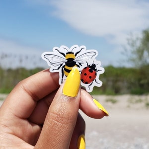 Pack d'autocollants en vinyle abeille et coccinelle | petit bourdon | Stickers imperméables beaux-arts| Dessin animal insecte