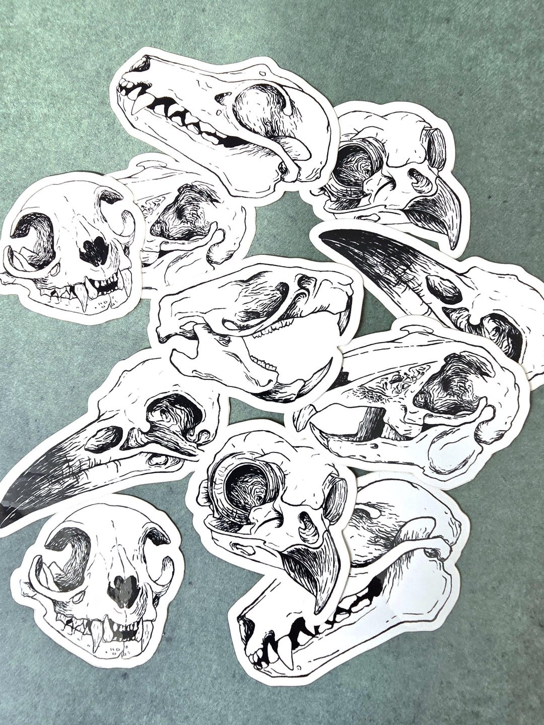 Animal Skull Sticker Pack: Waterproof Vinyl Oddities - Etsy