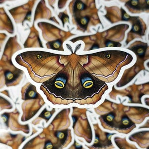 Autocollant papillon en vinyle | Petite punaise coccinelle | Stickers imperméables beaux-arts| Dessin animal insecte