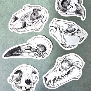 Pack d'autocollants crânes d'animaux | Corbeau Chat Lapin Chauve-souris Hibou | Autocollants imperméables en vinyle| Dessin de bizarreries d'animaux | Taxidermie du crâne de bestiole