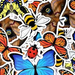 Pack d'autocollants insectes | papillon monarque, morpho bleu, machaon, abeille, coccinelle, mite | Insectes | Vinyle résistant aux intempéries