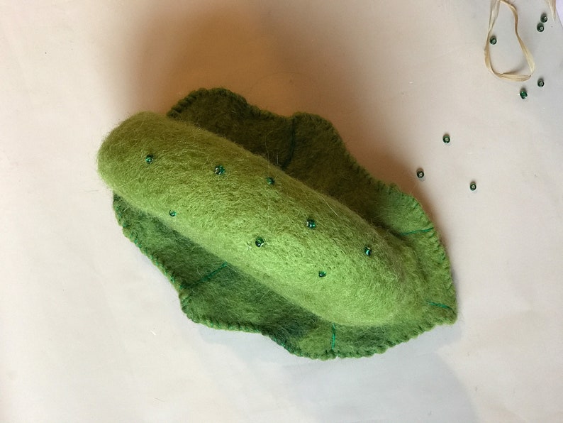 snail costume for newborn Photo prop.