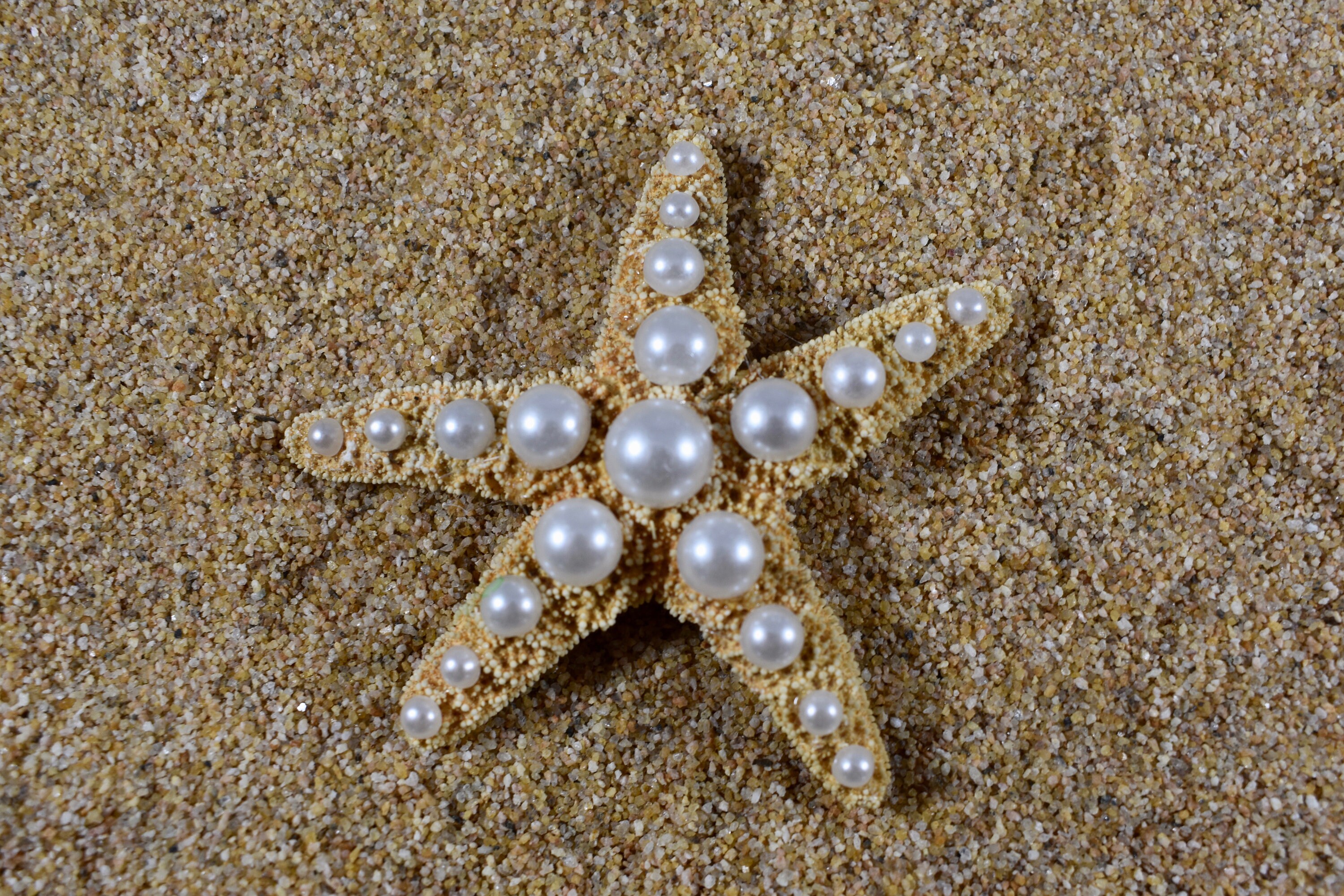 Comfy Mermaid Starfish