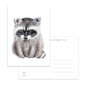 Postkarte Racoon