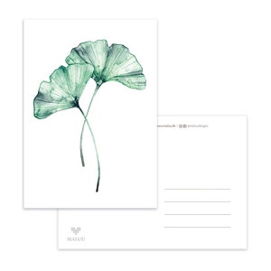 Carte Postale Ginkgo Twin