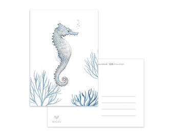 Carte postale Hippocampe Corail