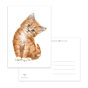 Postkarte Sweet Kitty