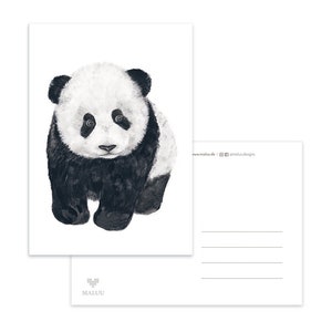 Cartão Postal Panda