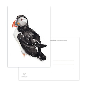 Postkarte Puffin
