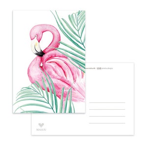 Postal Palm Flamingo
