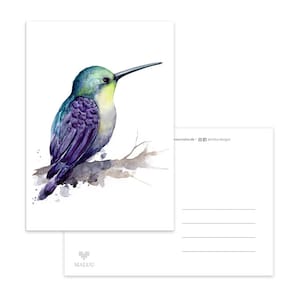 Carte postale Colibri arc-en-ciel