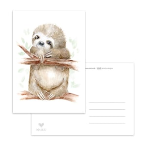 Paresseux de carte postale