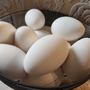 May include: A black wire basket filled with white eggs. The eggs are arranged in a circular pattern.