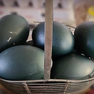 May include: A close-up shot of a wire basket filled with large, dark teal-colored eggs. The eggs have a smooth, slightly textured surface. The basket has a metal handle and is set against a blurred background.