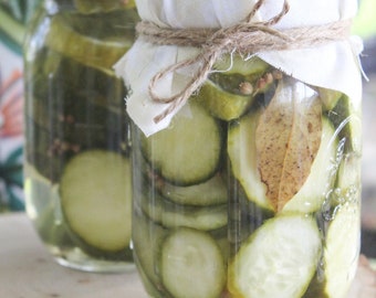 Hausgemachte Pickles, libanesische Gurken-Pickles, eingelegte Lebensmittel - traditionell oder scharf