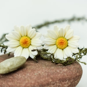 Può includere: Due orecchini a forma di fiori di margherita bianchi con centri gialli e petali bianchi poggiano su una pietra marrone. Sono presenti anche rametti verdi e una piccola pietra verde chiaro. Lo sfondo è bianco.