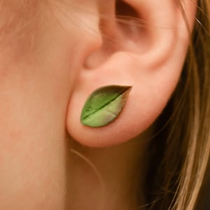 Könnte beinhalten: Ein Paar grüne, blattartige Ohrringe. Die Ohrringe sind aus Polymer Clay gefertigt und haben ein realistisches Blattdesign.