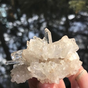 Arkansas Quartz Cluster #1