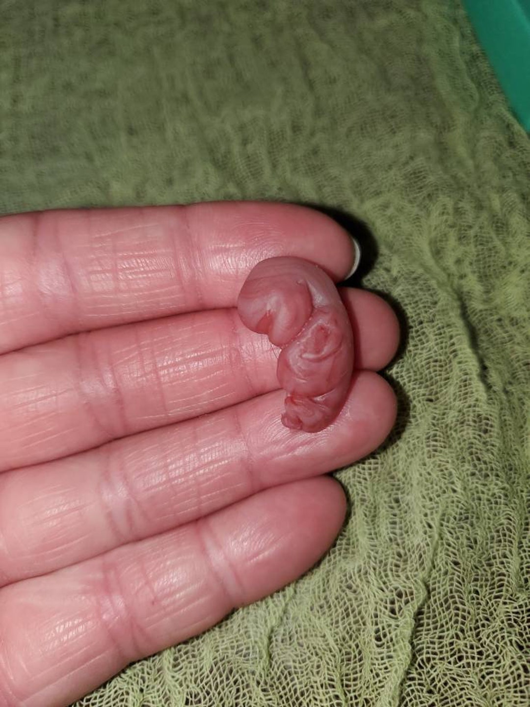 Week Gestational Fetus Silicone Baby Red/mixed Color Keepsake