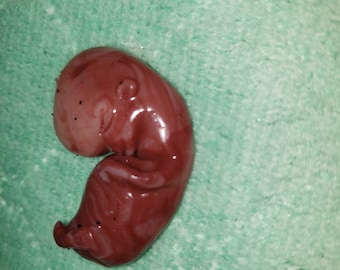 11 week gestational fetus silicone baby