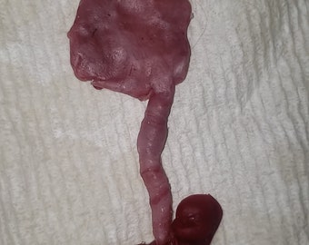 fetus silicone baby memorial with umbilical cord attached