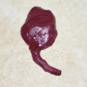 Silicone Placenta and umbilical cord image 2