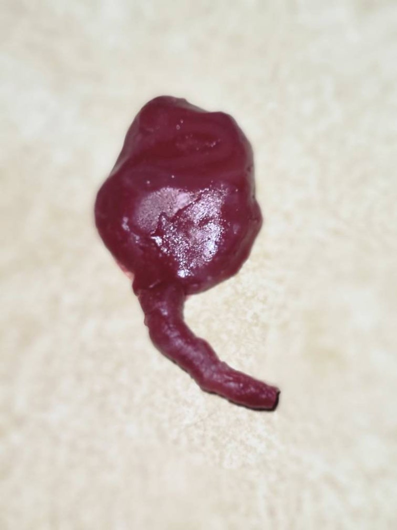 Silicone Placenta and umbilical cord image 2