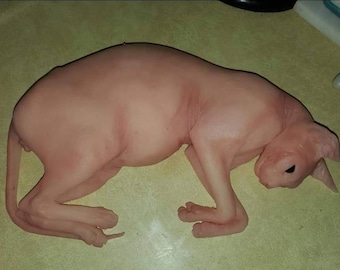 Silicone sphynx cat size of real adult cat