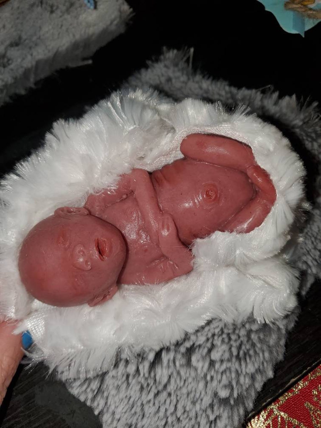 妊娠20週記念の胎児シリコンベビー、背中を丸めて全身を見せる - Etsy 日本