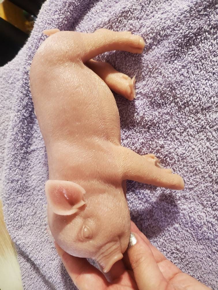 Mini Full Body Silicone Piglets aka Micro Reborn Pigs – Reborn