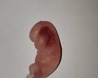 9 week gestational fetus silicone baby