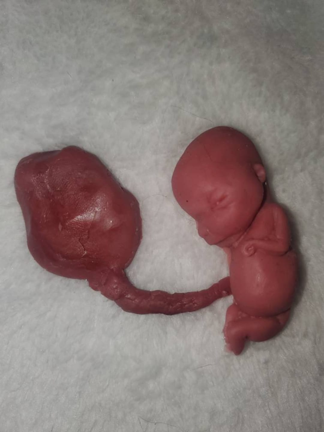 Silicone Placenta and Umbilical Cord Etsy UK