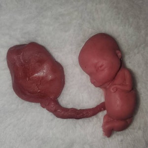 Silicone Placenta and umbilical cord image 1