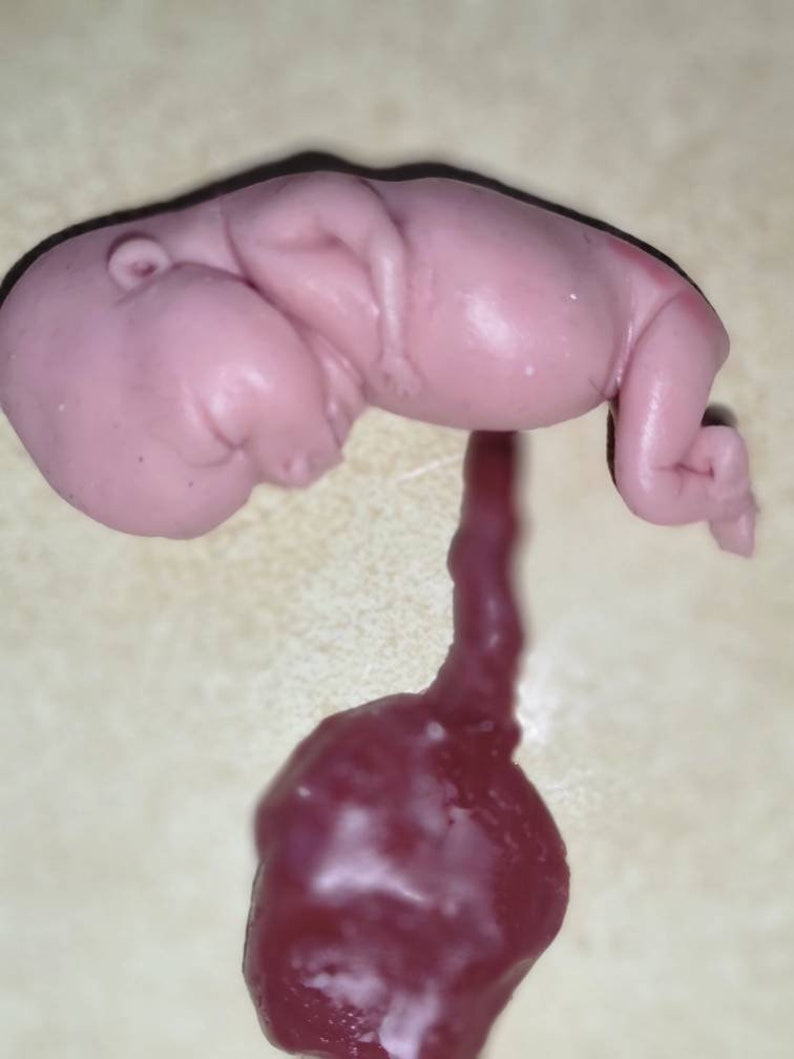 Silicone Placenta and umbilical cord image 7