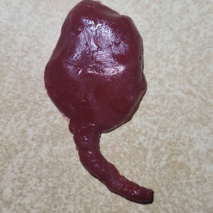 Silicone Placenta and umbilical cord image 4