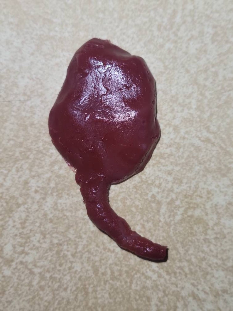 Silicone Placenta and umbilical cord image 4