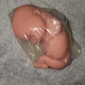 silicone baby fetus memorial baby fetus inside WOMB image 8