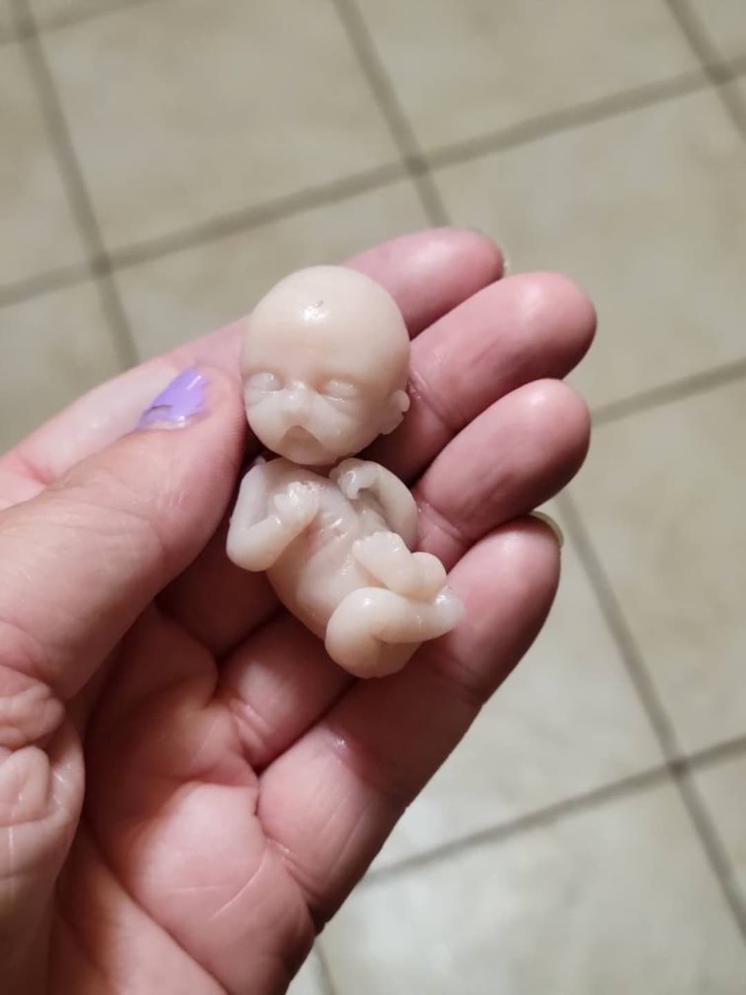 Buy 12 Week Gestational Fetus Silicone Memorial Baby Keepsake Online in  India