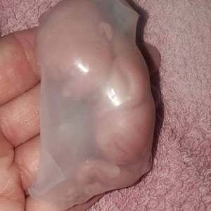 silicone baby fetus memorial baby 3" baby 14 week gestationin inside WOMB