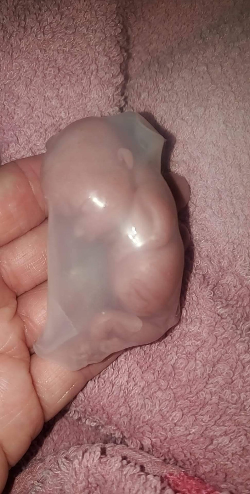 silicone baby fetus memorial baby fetus inside WOMB image 1